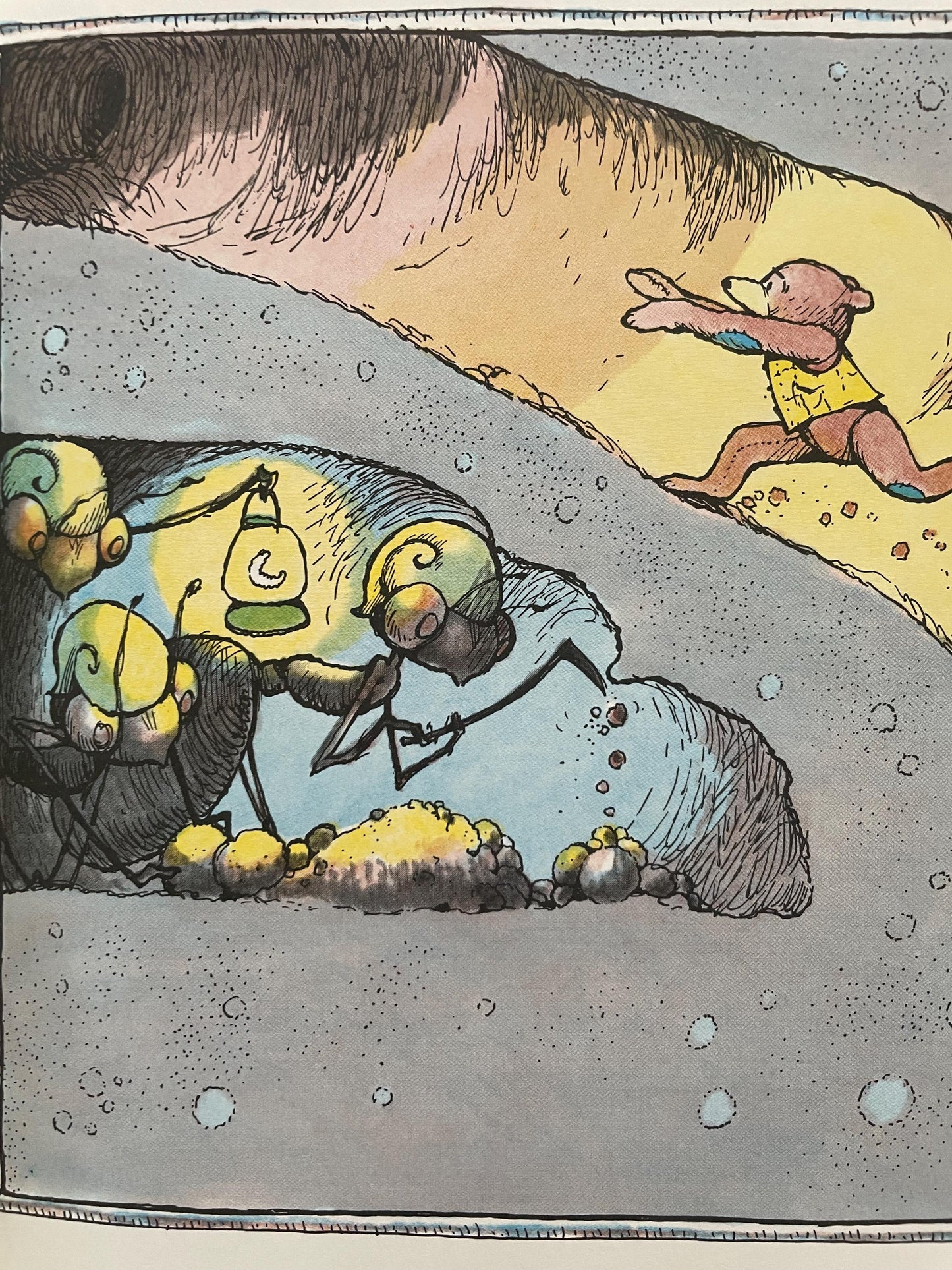 Bear Underground by Betty Boegehold, illustrated by Jim Arnosky