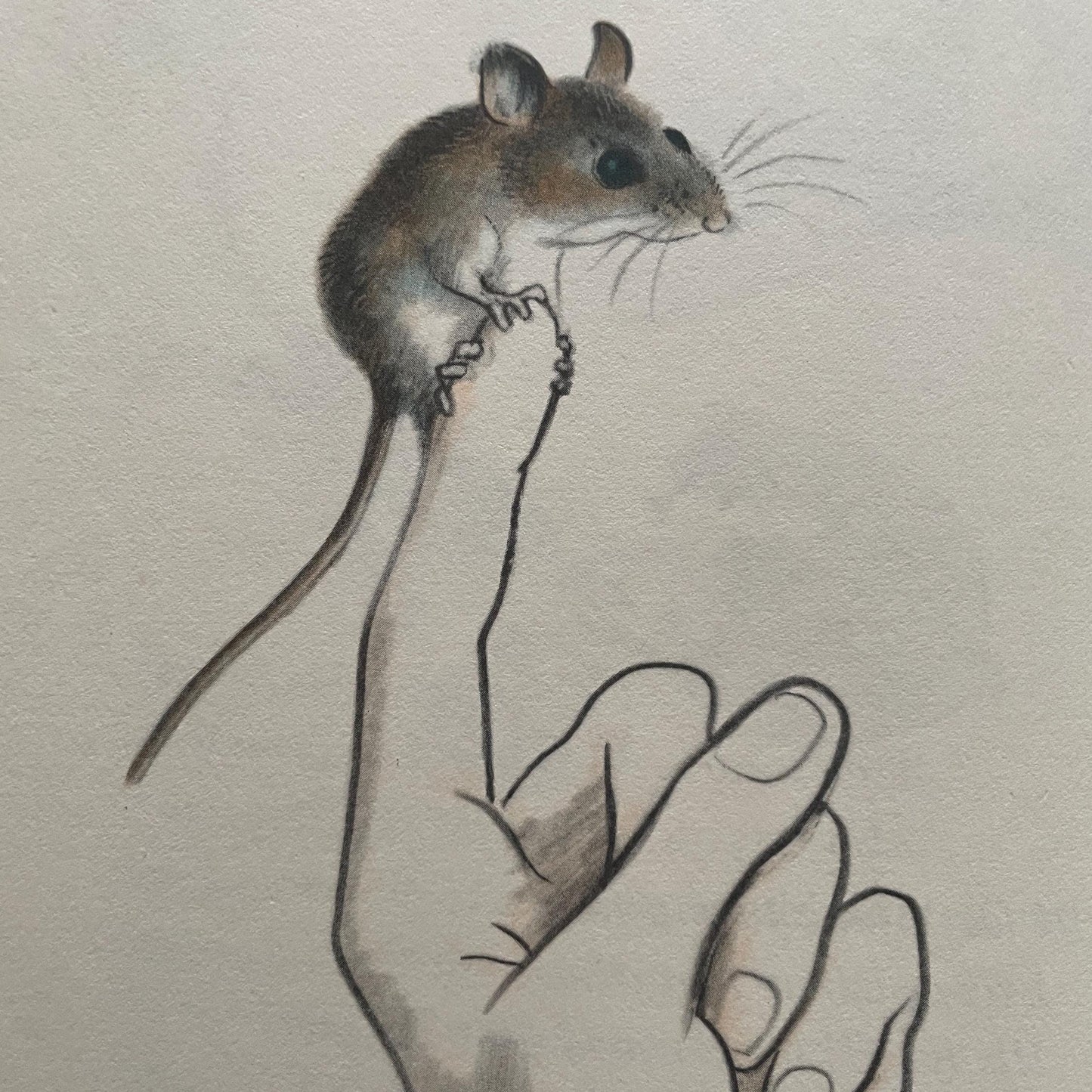 Mouse and Time by Faith McNully, illustrations by Marc Simont