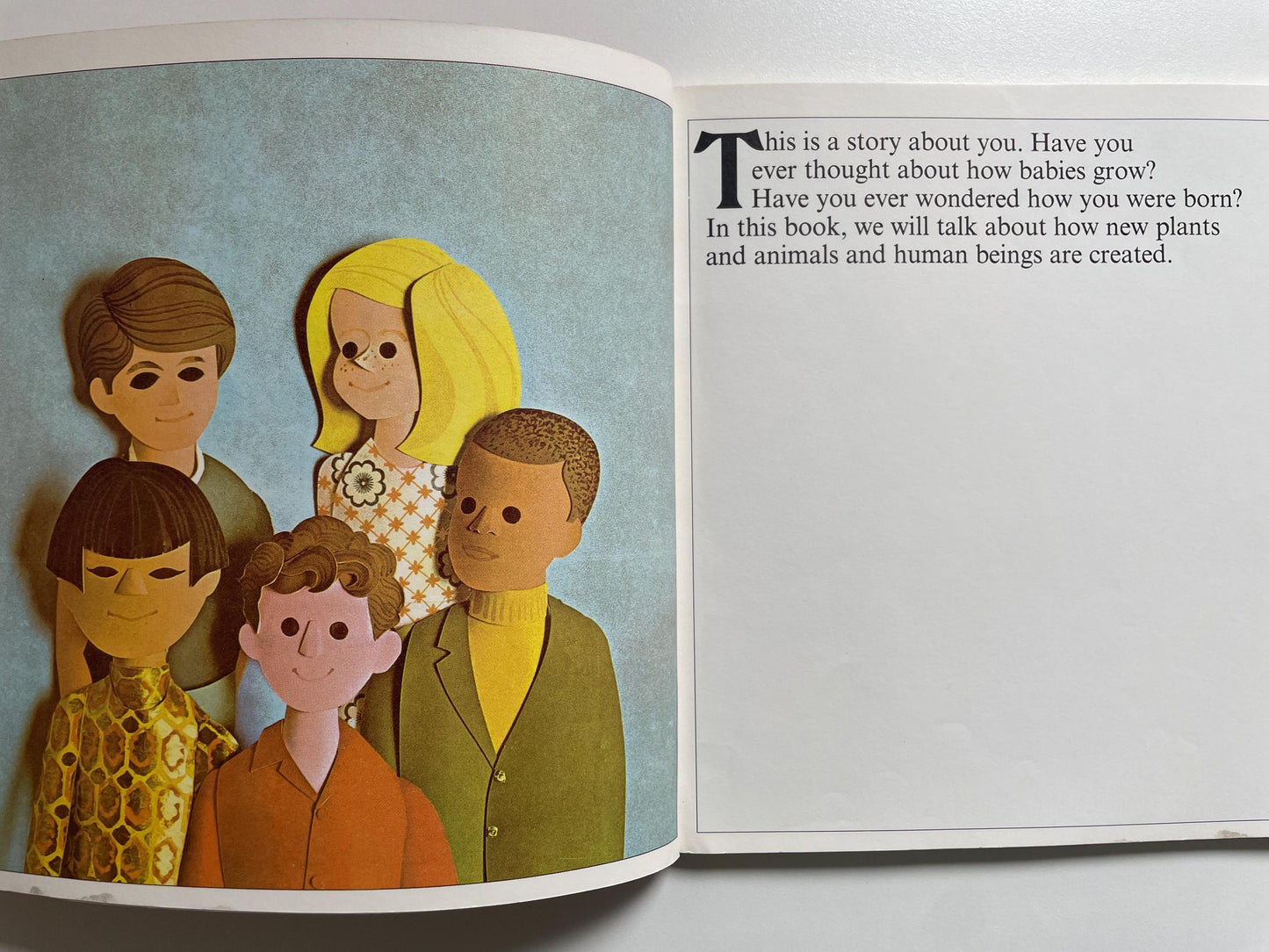 How Babies Are Made by Andrew C. Andry & Steven Schepp, illustrated by Blake Hampton