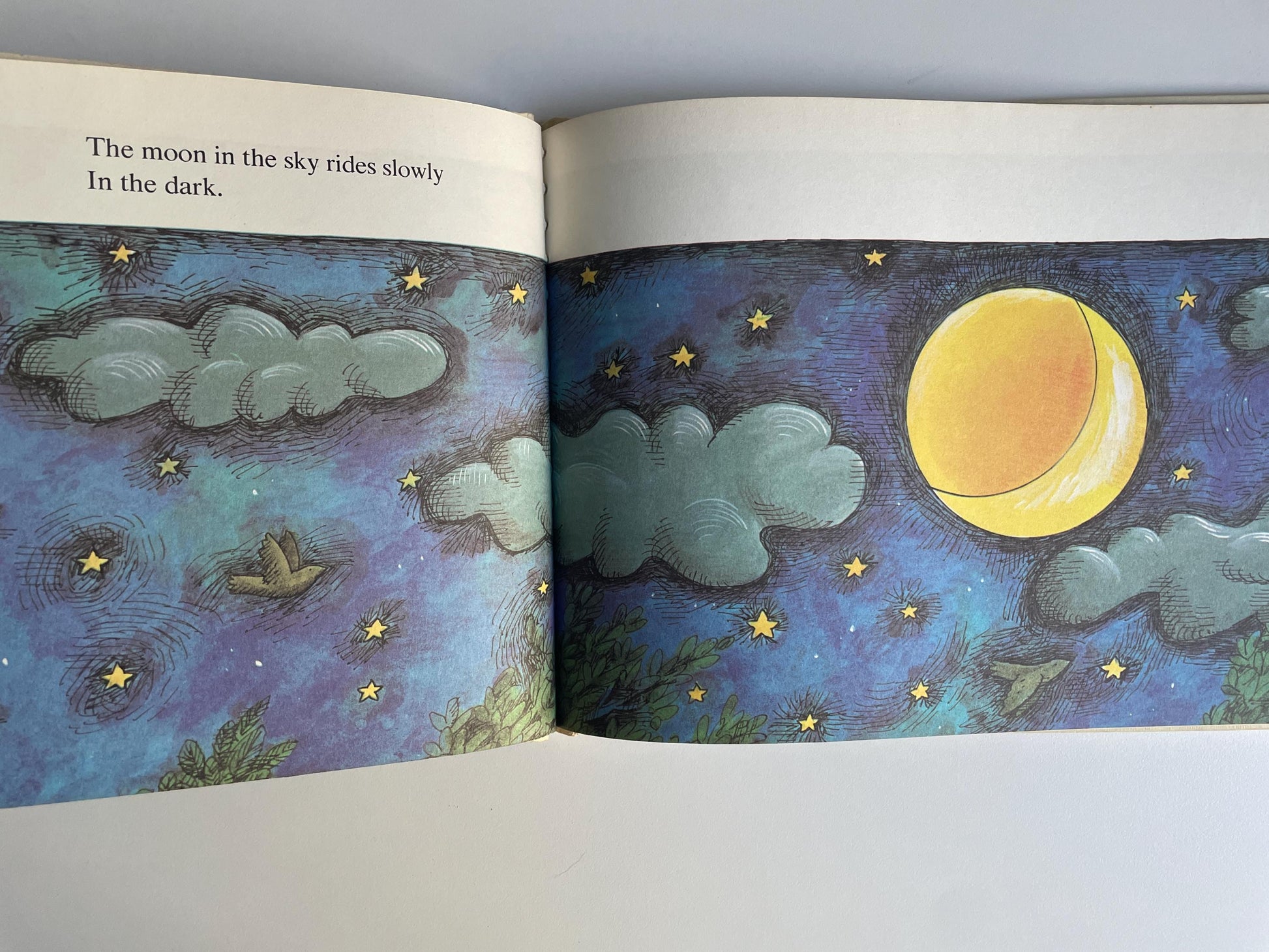 What's in the Dark? by Carl Memling, illustrated by John E. Johnson