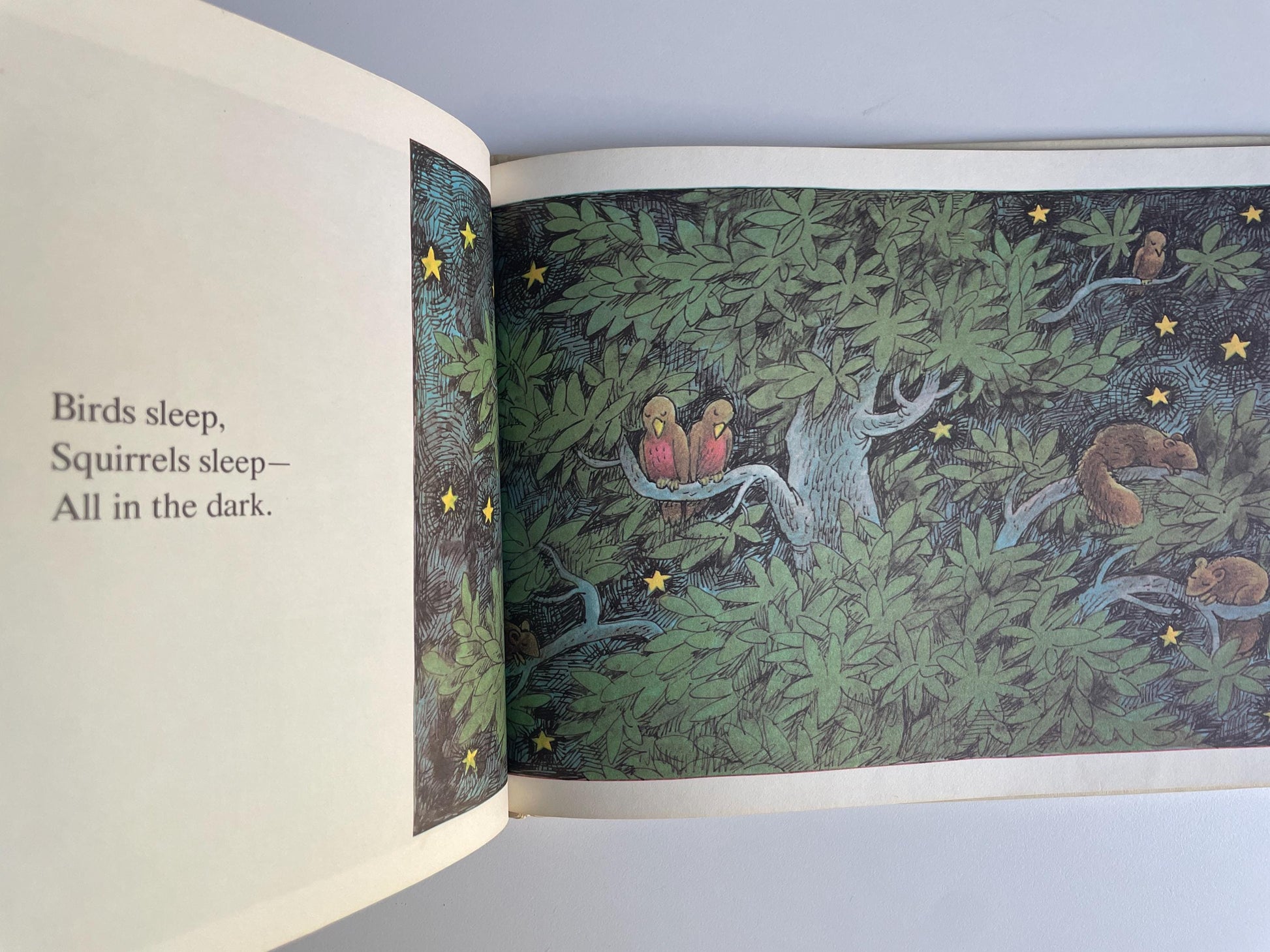 What's in the Dark? by Carl Memling, illustrated by John E. Johnson