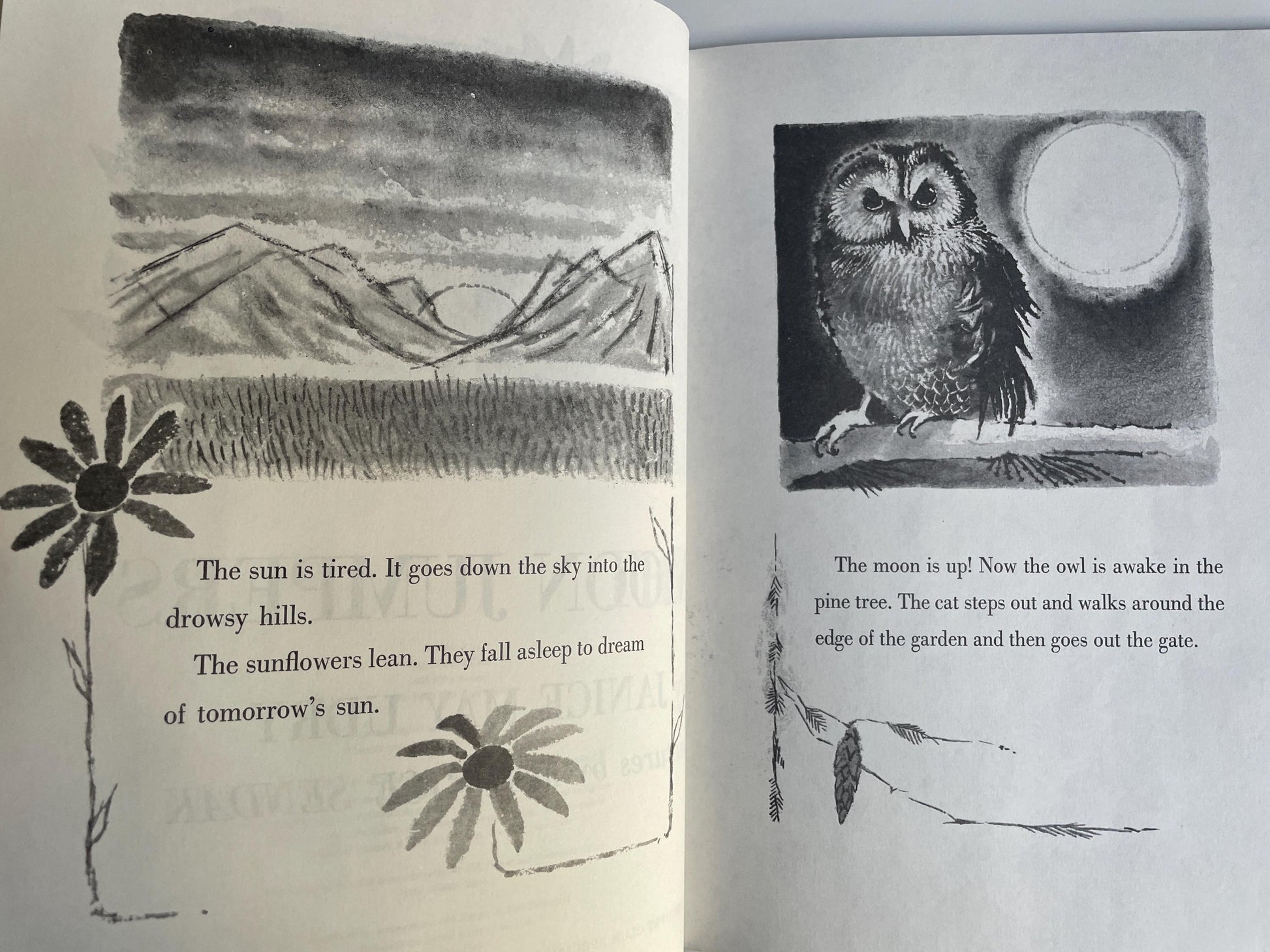 The Moon Jumpers by Janice May Udry, illustrated by Maurice Sendak