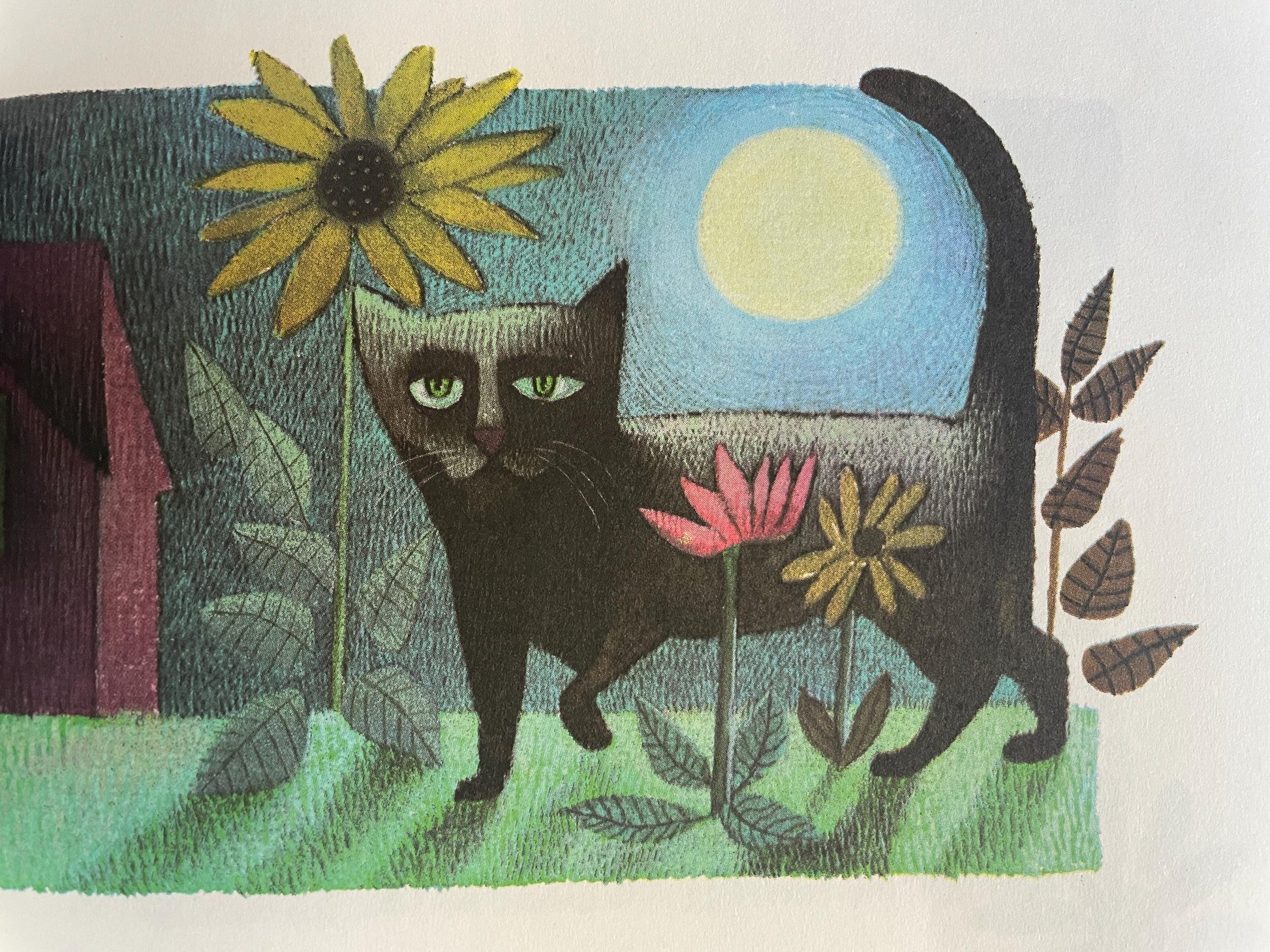 The Moon Jumpers by Janice May Udry, illustrated by Maurice Sendak