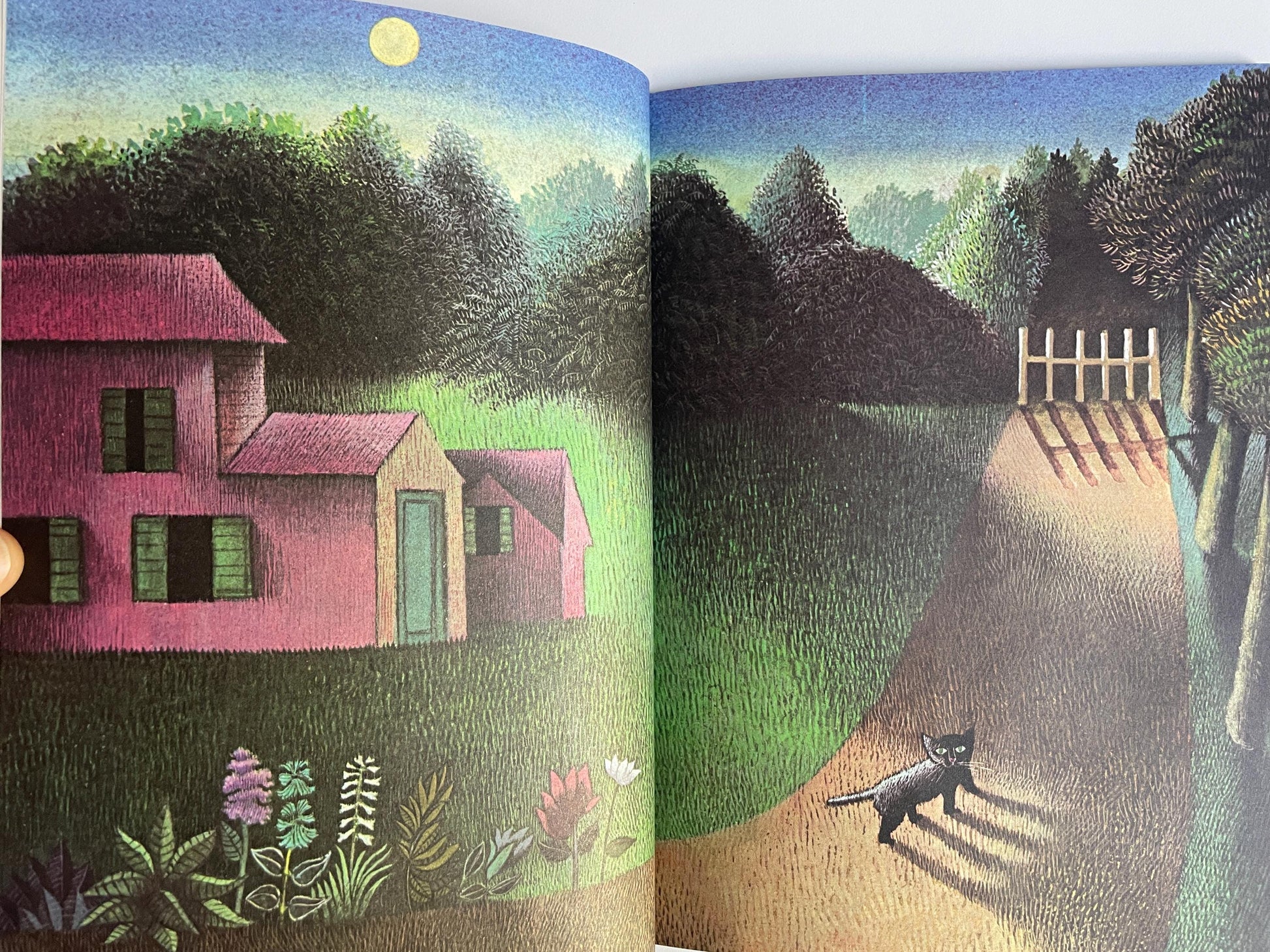 The Moon Jumpers by Janice May Udry, illustrated by Maurice Sendak