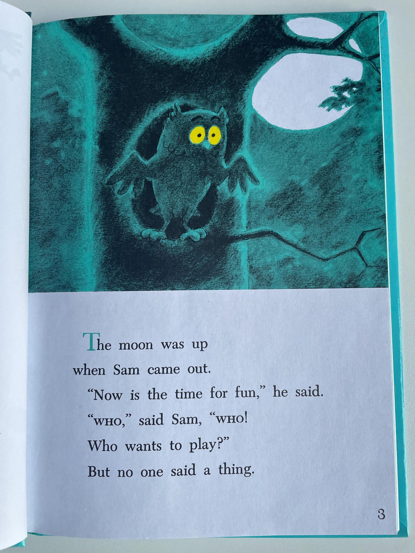 Sam and the Firefly by P. D. Eastman