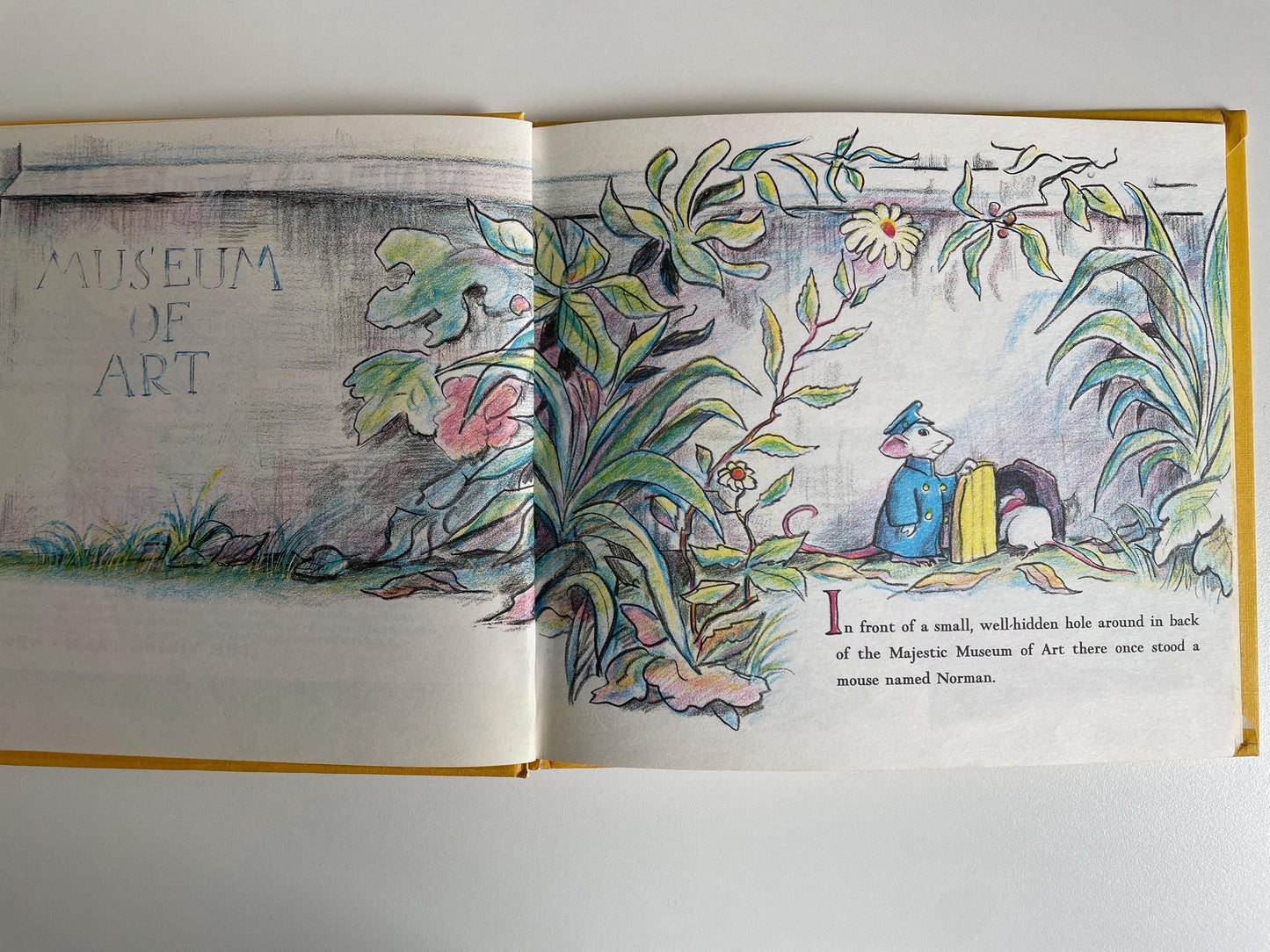 Norman the Doorman by Don Freeman