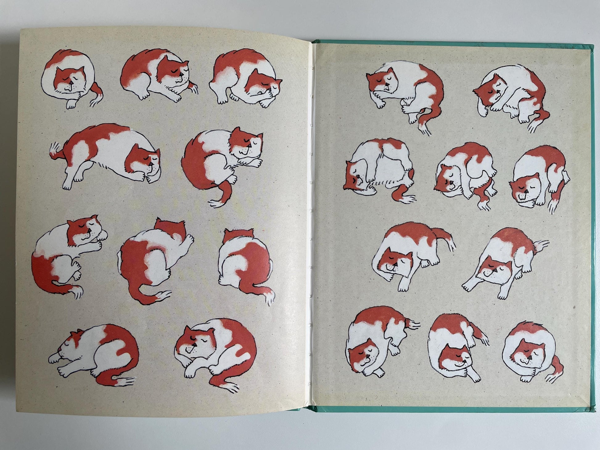 Cats Sleep Anywhere by Eleanor Farjeon, illustrated by Mary Price Jenkins