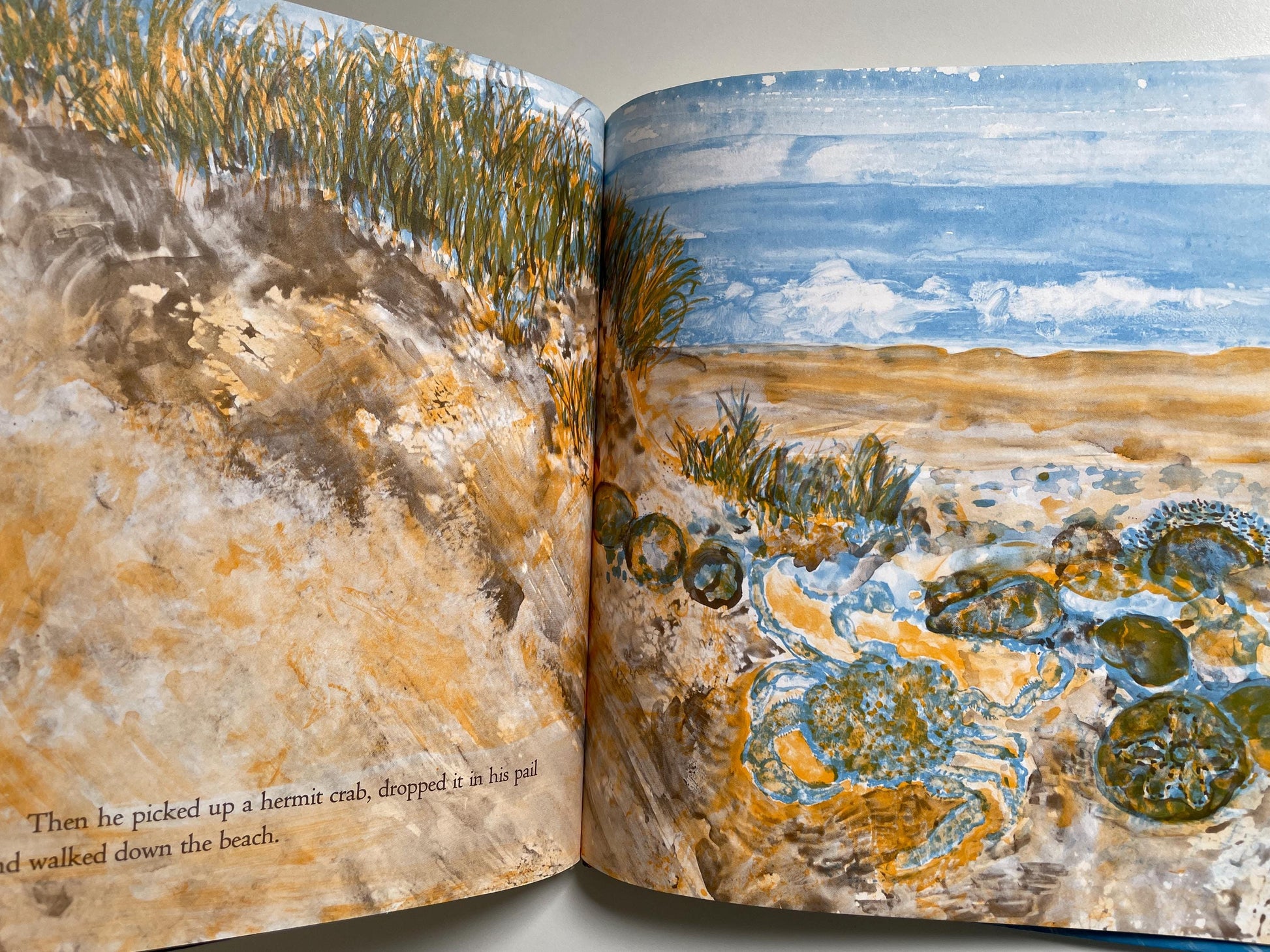 Ask the Windy Sea by Charlotte Pomerantz, illustrated by Nancy Grossman & Anita Siegel