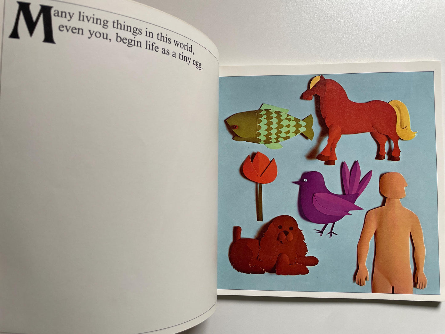 How Babies Are Made by Andrew C. Andry & Steven Schepp, illustrated by Blake Hampton