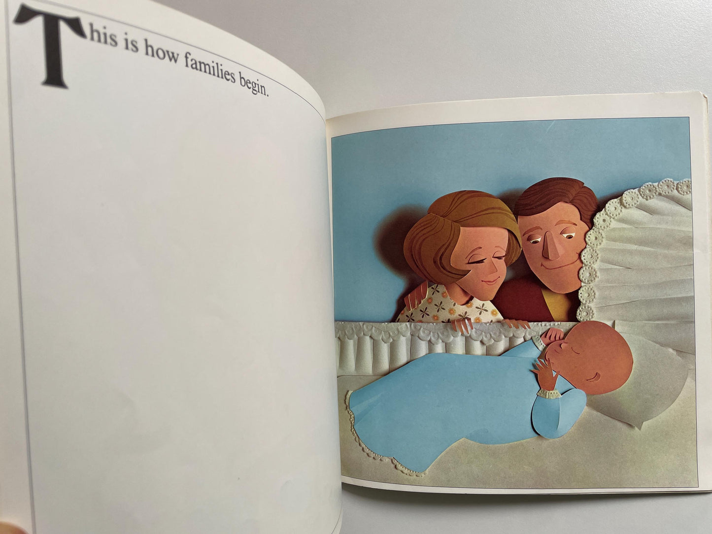 How Babies Are Made by Andrew C. Andry & Steven Schepp, illustrated by Blake Hampton