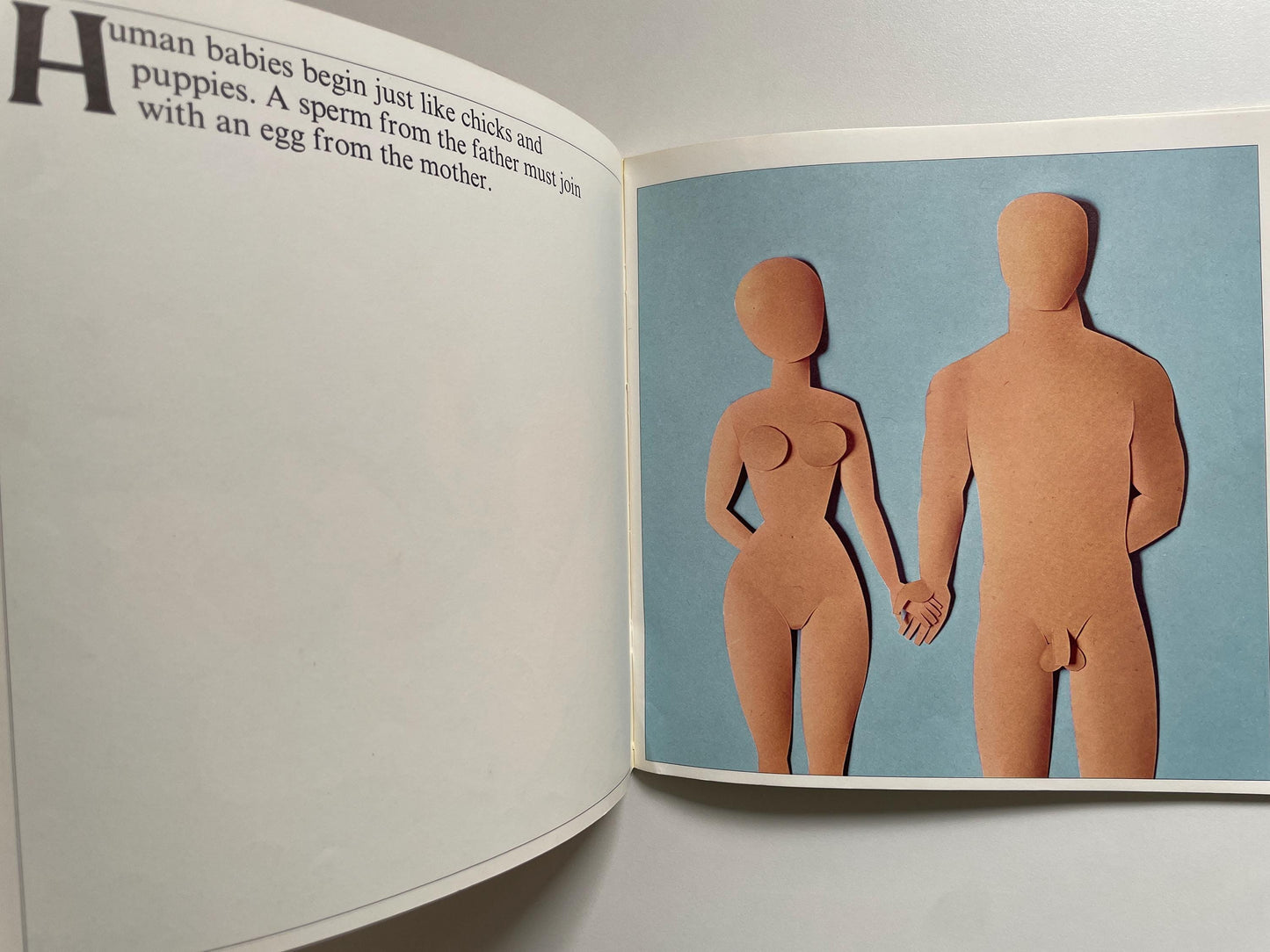 How Babies Are Made by Andrew C. Andry & Steven Schepp, illustrated by Blake Hampton