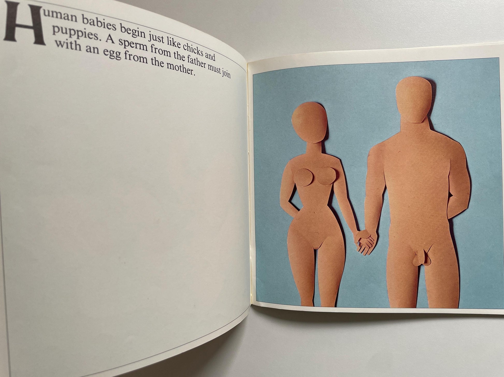 How Babies Are Made by Andrew C. Andry & Steven Schepp, illustrated by Blake Hampton