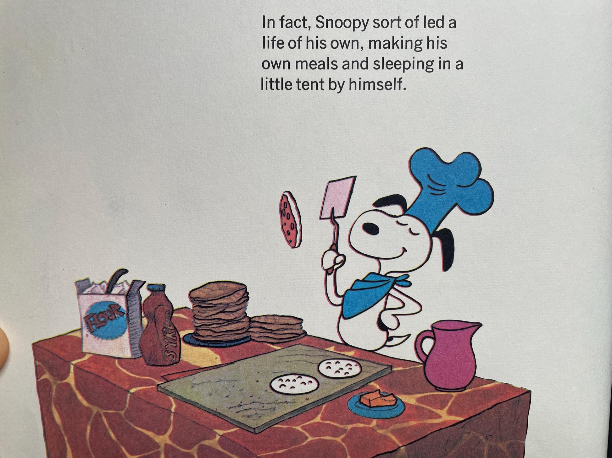 It Was a Short Summer, Charlie Brown by Charles M. Schulz