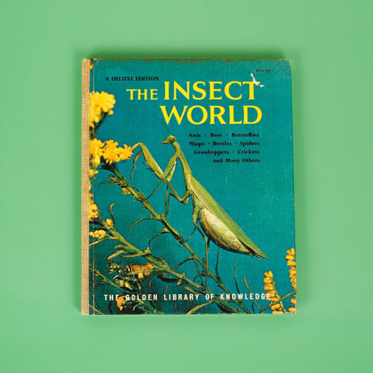 The Insect World