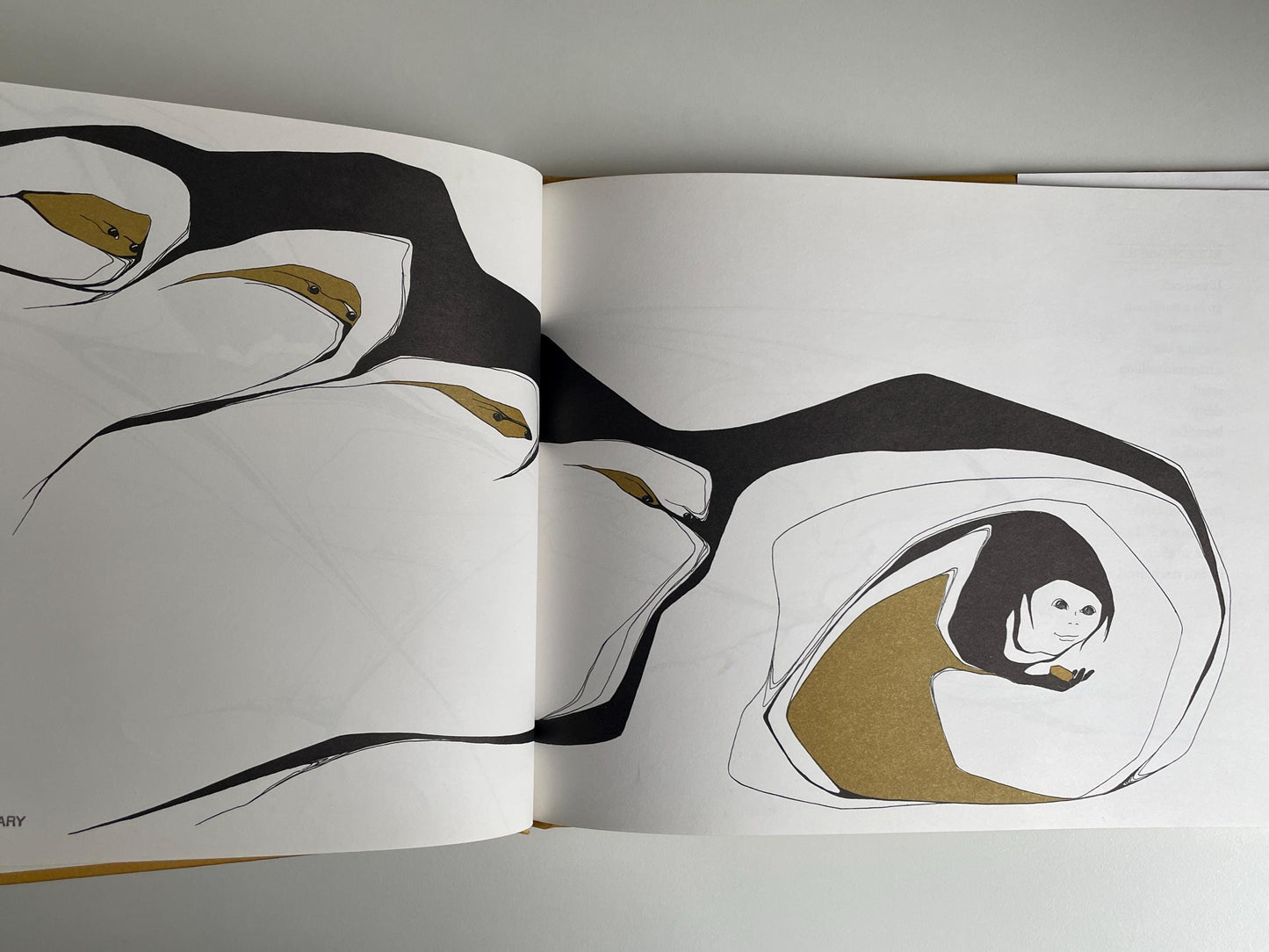 Everybody Needs a Rock by Byrd Baylor, illustrated by Peter Parnall