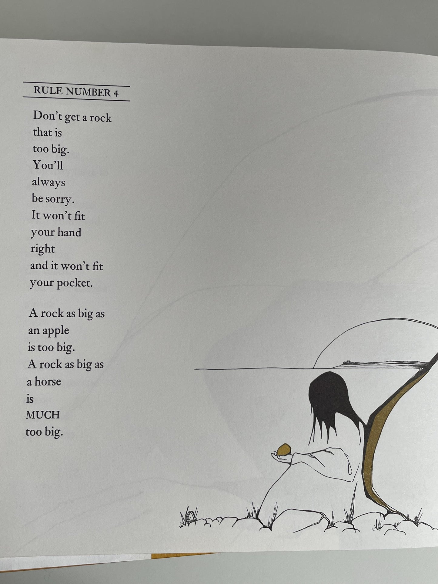 Everybody Needs a Rock by Byrd Baylor, illustrated by Peter Parnall