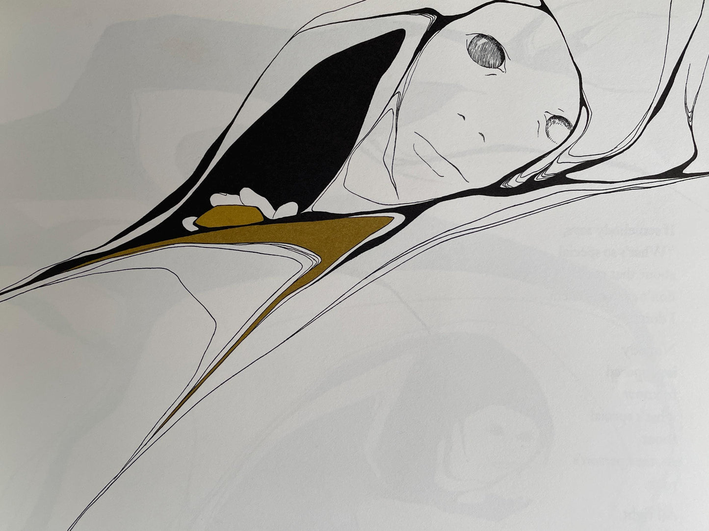 Everybody Needs a Rock by Byrd Baylor, illustrated by Peter Parnall