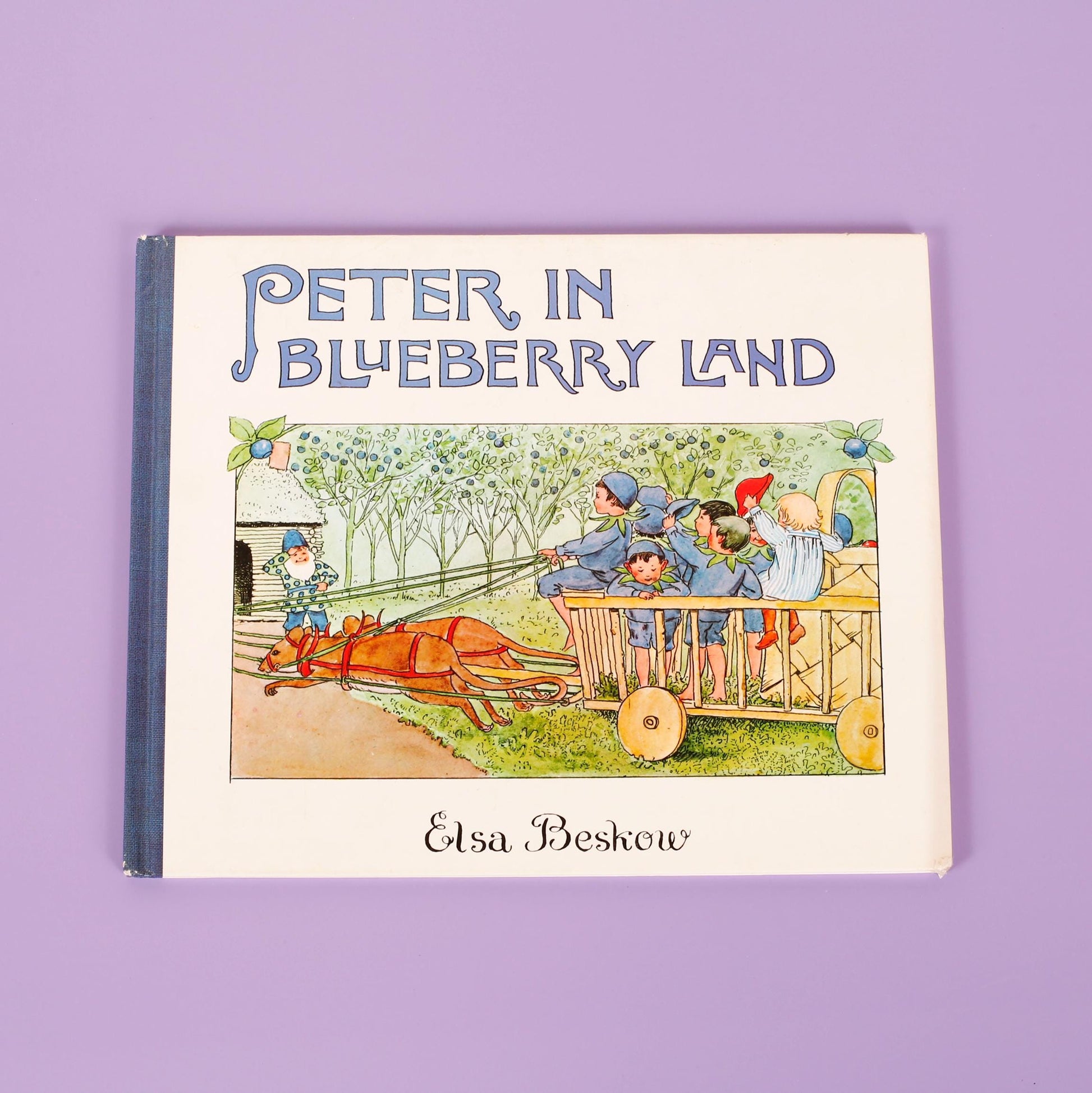 Peter in Blueberry Land by Elsa Beskow