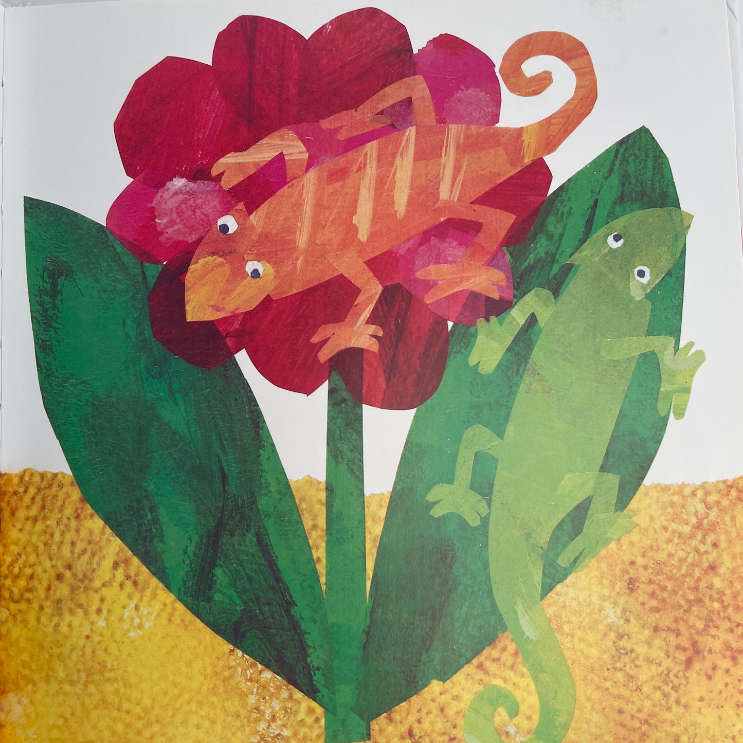 The Mixed-Up Chameleon