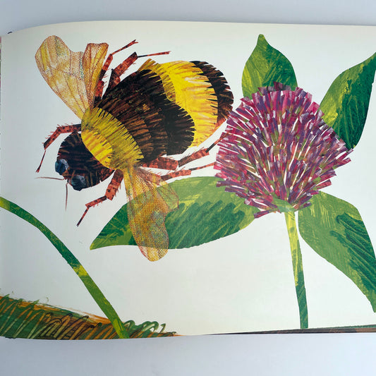 The Very Quiet Cricket